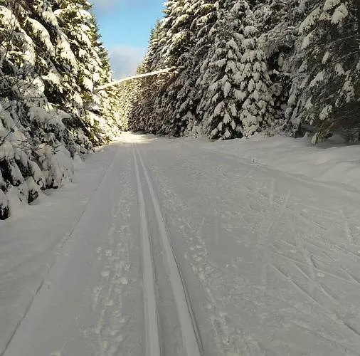 Brevant Železná Ruda